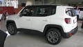 Jeep renegade & cherokee: Statična domača predstavitev