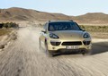 mednarodna predstavitev: Porsche cayenne