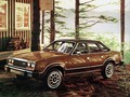 AMC eagle limited sedan (1980) 
