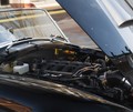 Shelby cobra CSX10000:  Strupenjača  se vrača 