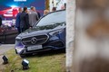 Poslovni avto leta 2025: Poslovni avto leta je letos slavil 20. obletnico