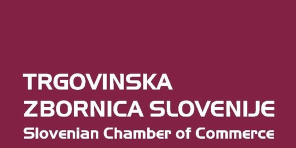 Novo predsedstvo in program dela : Sekcija za osebna motorna vozila v letu 2025