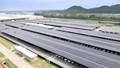  Road to Better : V Fordovih obratih povečujejo uporabo sončne energije