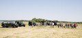 mednarodna predstavitev: Euro Camp Jeep