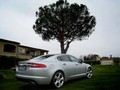 mednarodna predstavitev: Jaguar XF