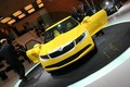salon: Pariz 2006