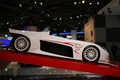 salon: Pariz 2006