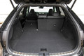 Lexus RX 500h F sport: Umami