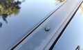 Jeep avenger e summit: Prvi mestni jeep
